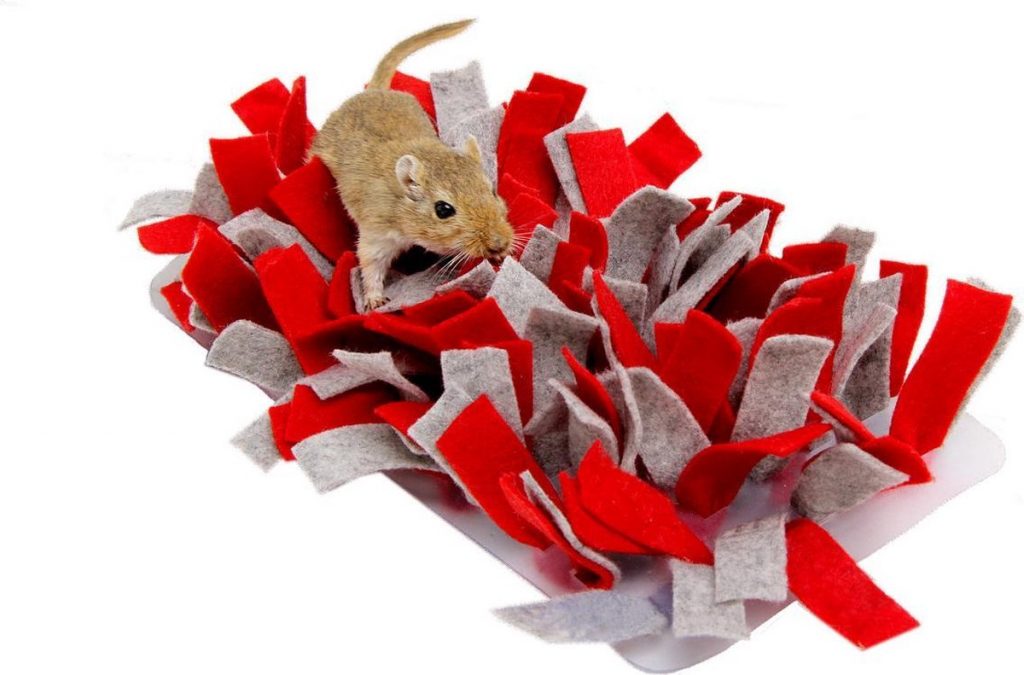 snuffelmatje rat hamster cavia konijn
